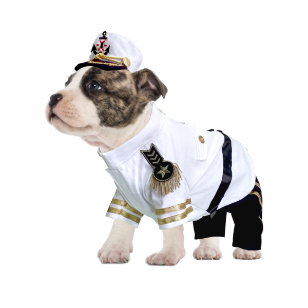 Halloween Costumes Dogs Png Pic (black, white)