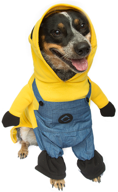 Halloween Costumes Dogs Transparent Png (black)