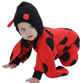 Halloween Costumes Ladybug Png Photo (black, chocolate)