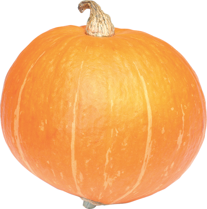 Halloween Jack O Lantern Png Hd (salmon, black, orange, chocolate)