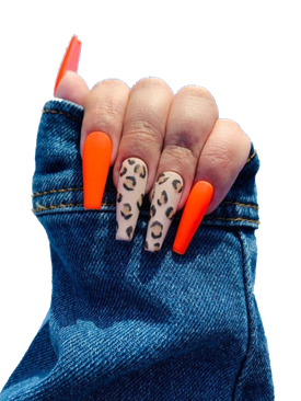 Halloween Nails Png File (black, chocolate, navy)