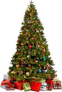 Halloween Xmas Tree Png Photo (black)