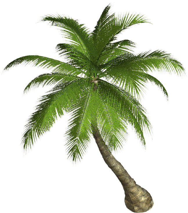 Palm Download Png Image (black)