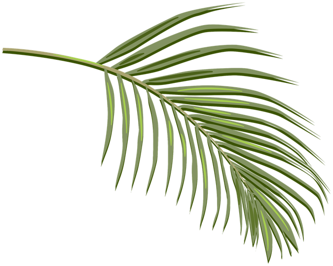 Palm Png File (black)