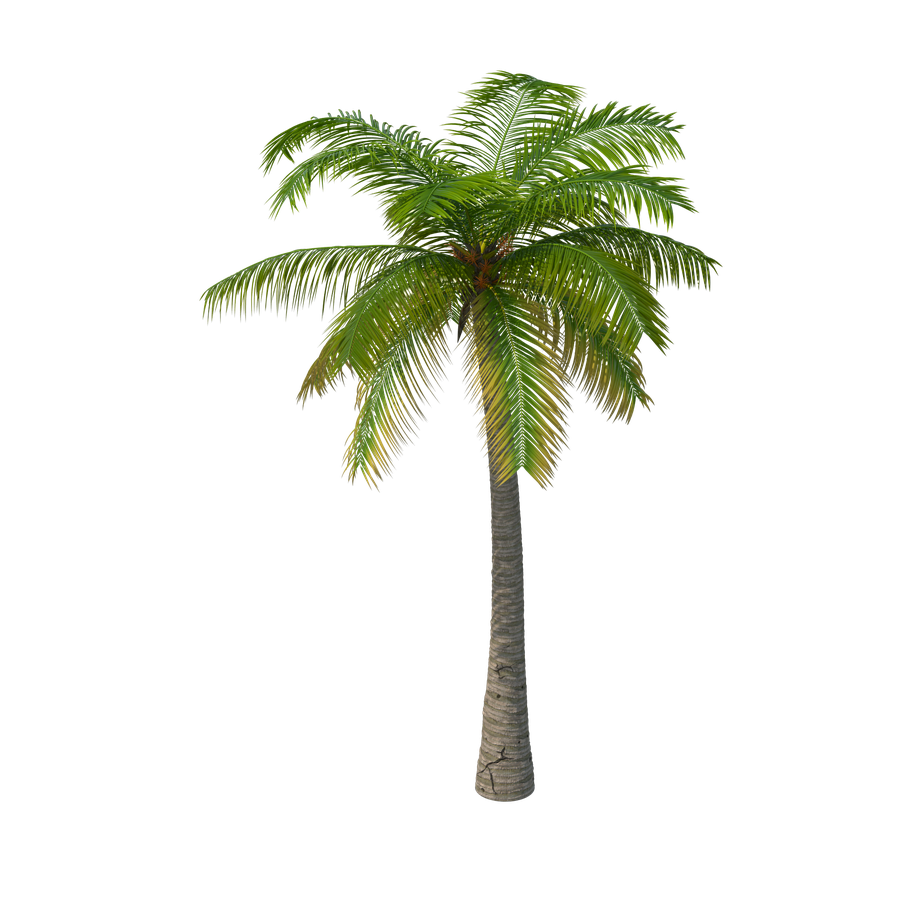 Palm Png Free Download (black)