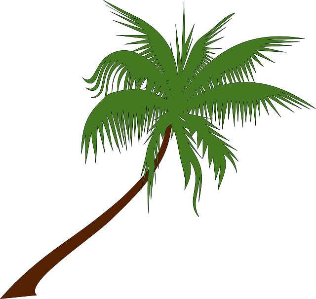 Palm Png Hd Isolated (maroon, olive, black)