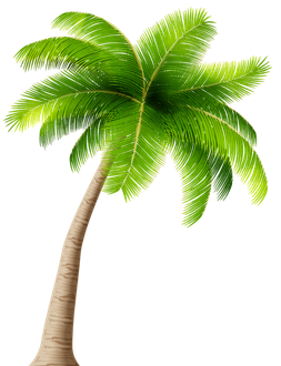 Palm Png Isolated File (olive, black, silver)