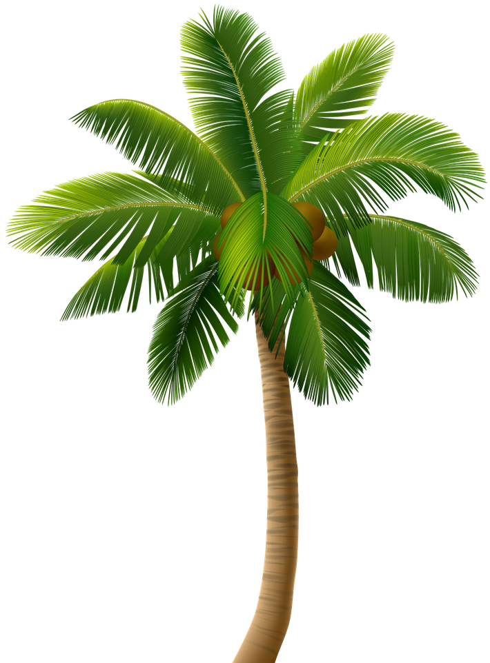 Palm Png Isolated Pic (green, black)