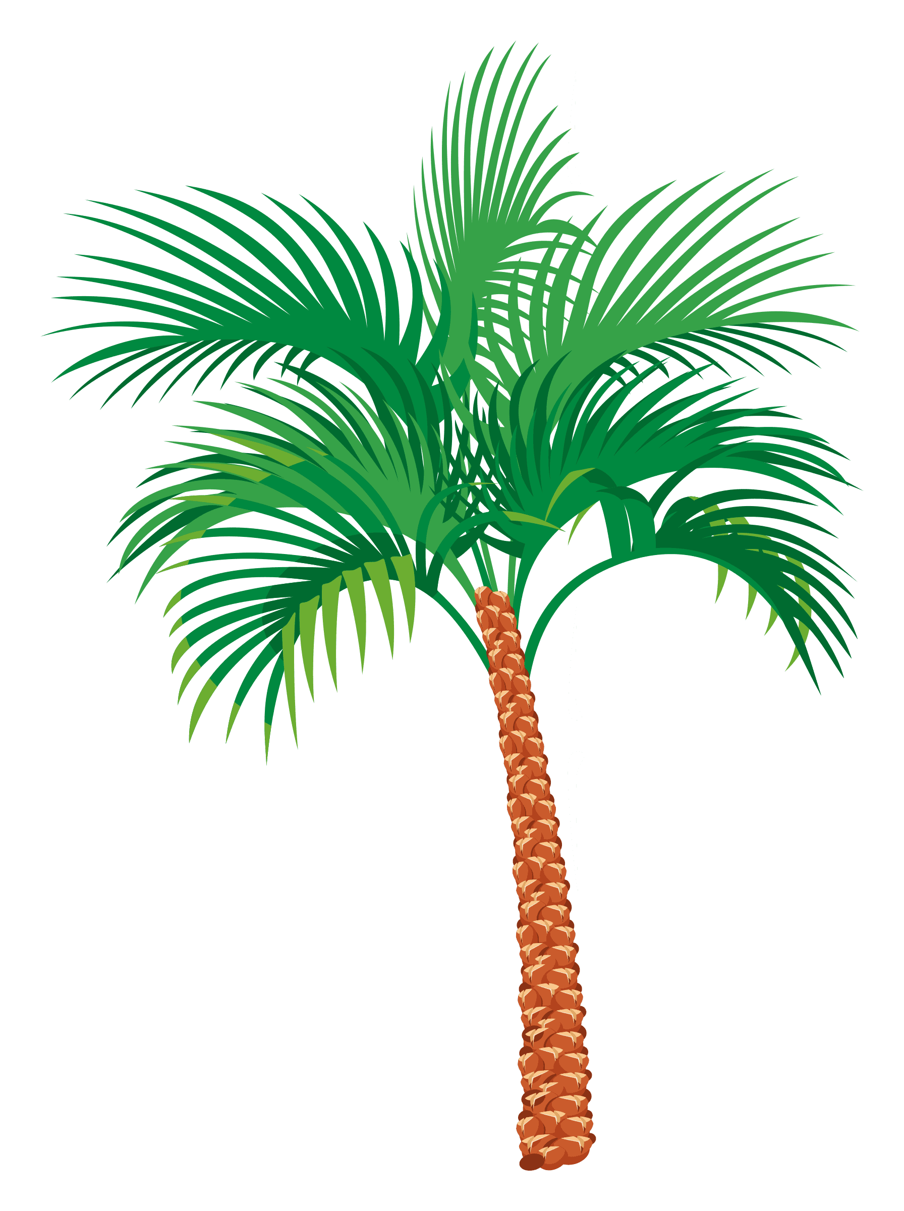 Palm Png Picture (green, gray, teal)