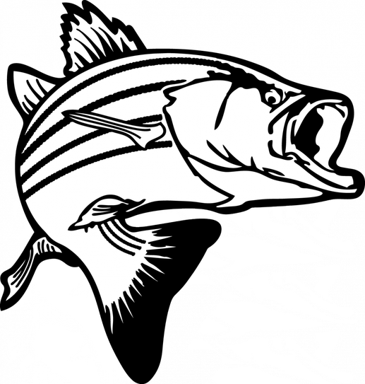 Salmon Fish Png Isolated File (black, white)