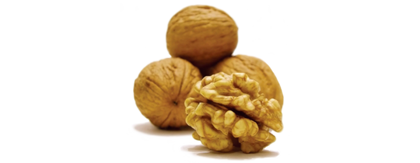 Walnuts Png Clipart (black)