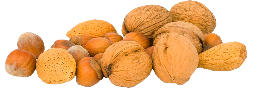 Walnuts Png File (salmon, white)