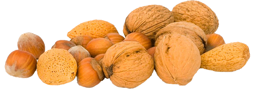 Walnuts Png Photos (gray)