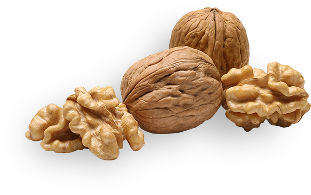 Walnuts Png Picture (beige, black, gray, white, silver)