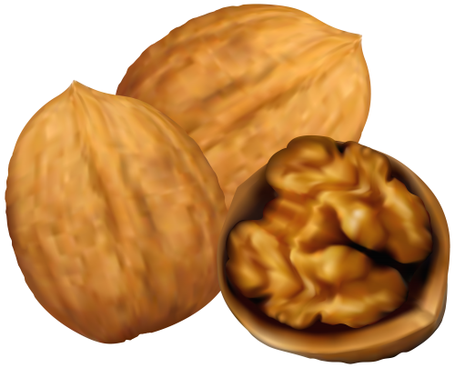 Walnuts Png Transparent (black, salmon, chocolate)