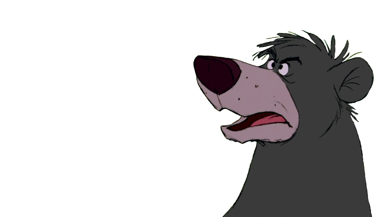 Baloo Download Png Image (black, gray, indigo)