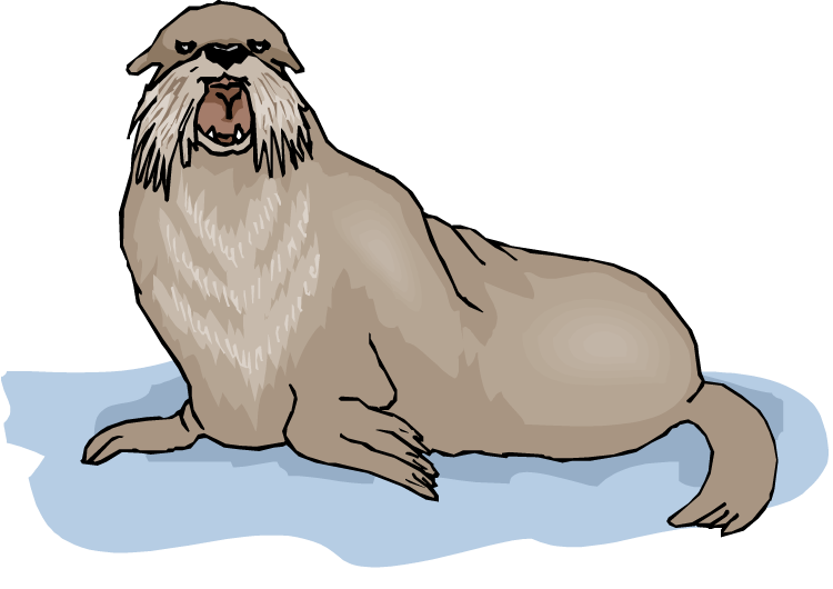 Walrus Background Png (black, gray, silver, white)