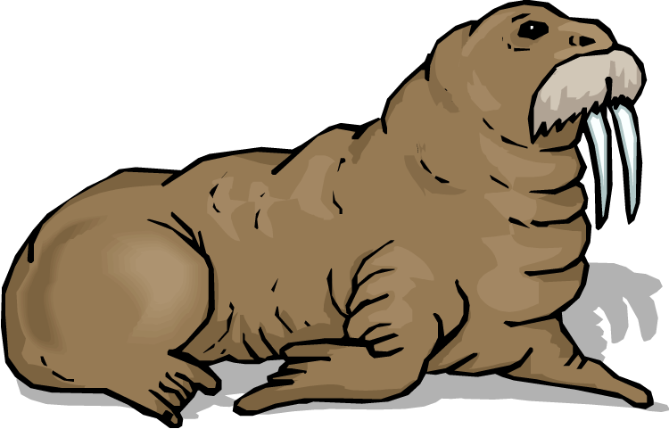 Walrus Download Png Image (black, gray, silver, white)