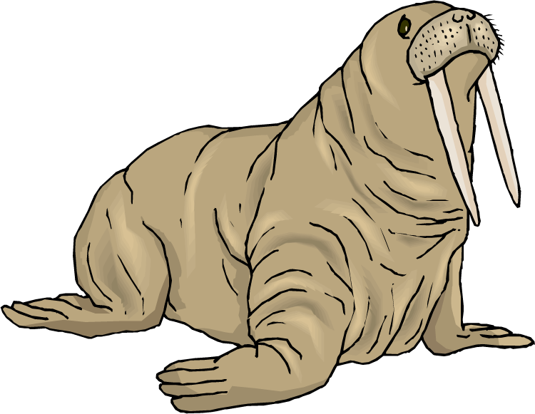 Walrus Png Background Image (lavender, black, gray, white, silver)