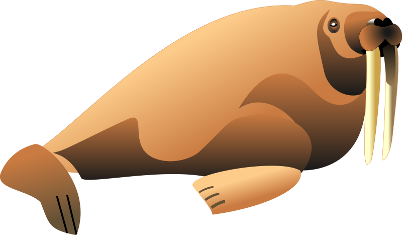 Walrus Png File (maroon, black, olive, salmon)