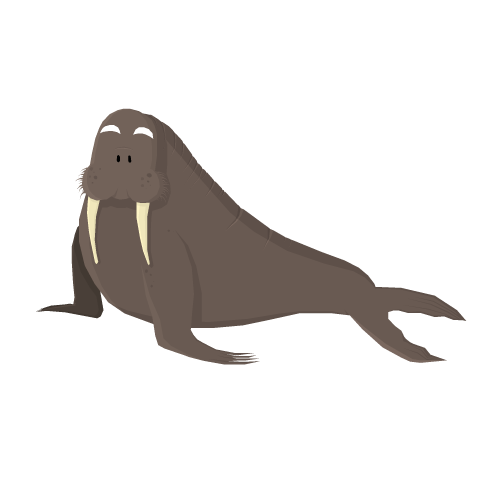 Walrus Png Hd (black, gray)