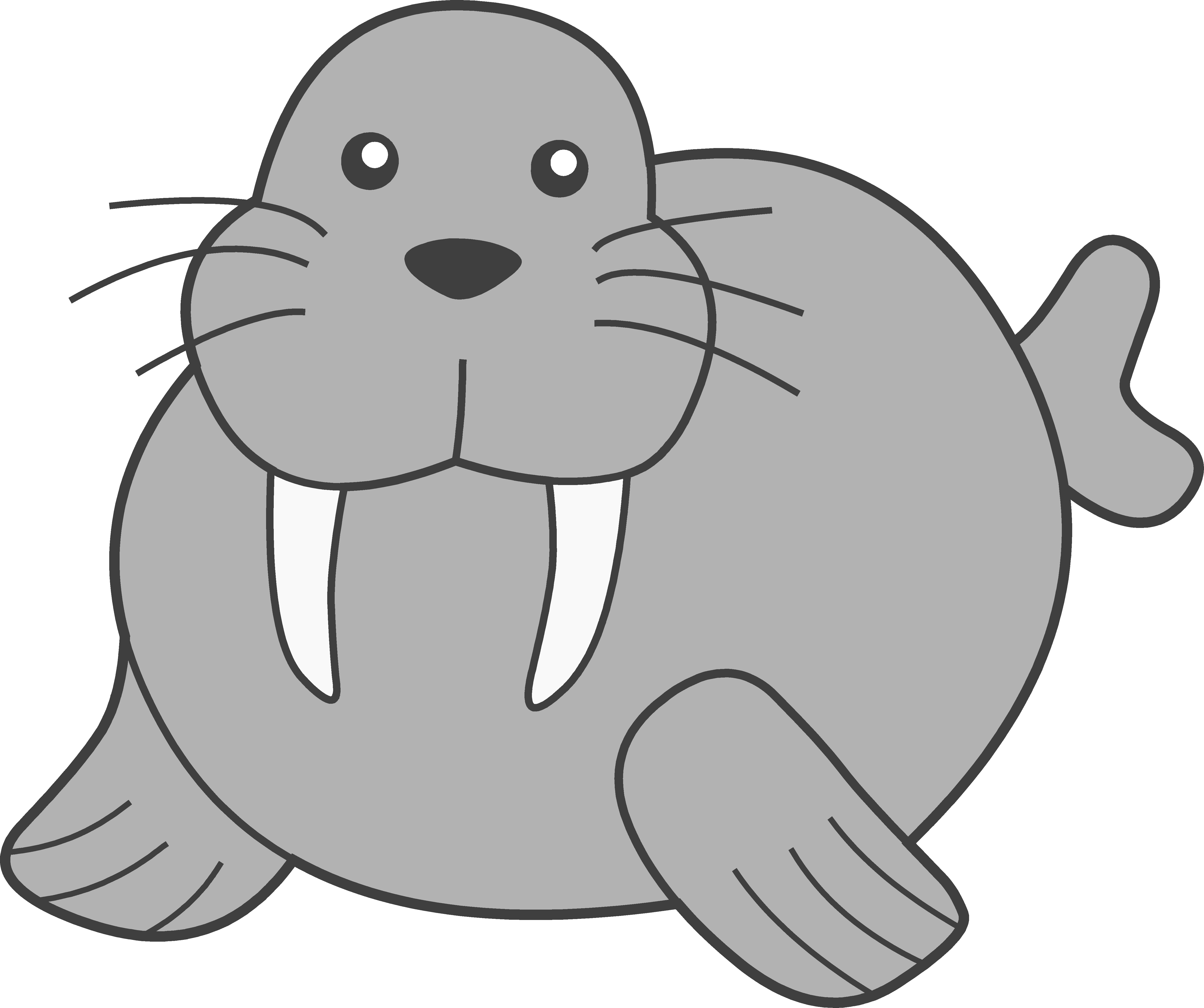 Walrus Png Image (silver, white)