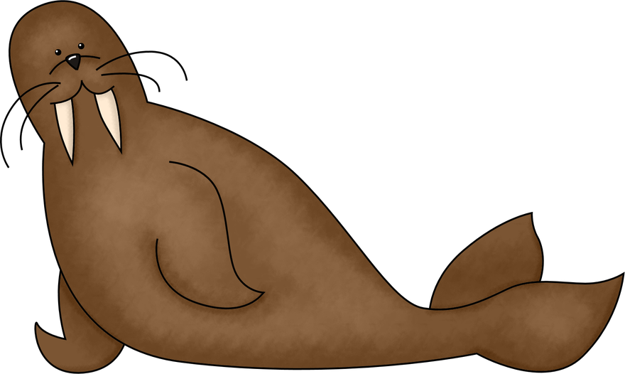 Walrus Png Photos (olive, black, gray)