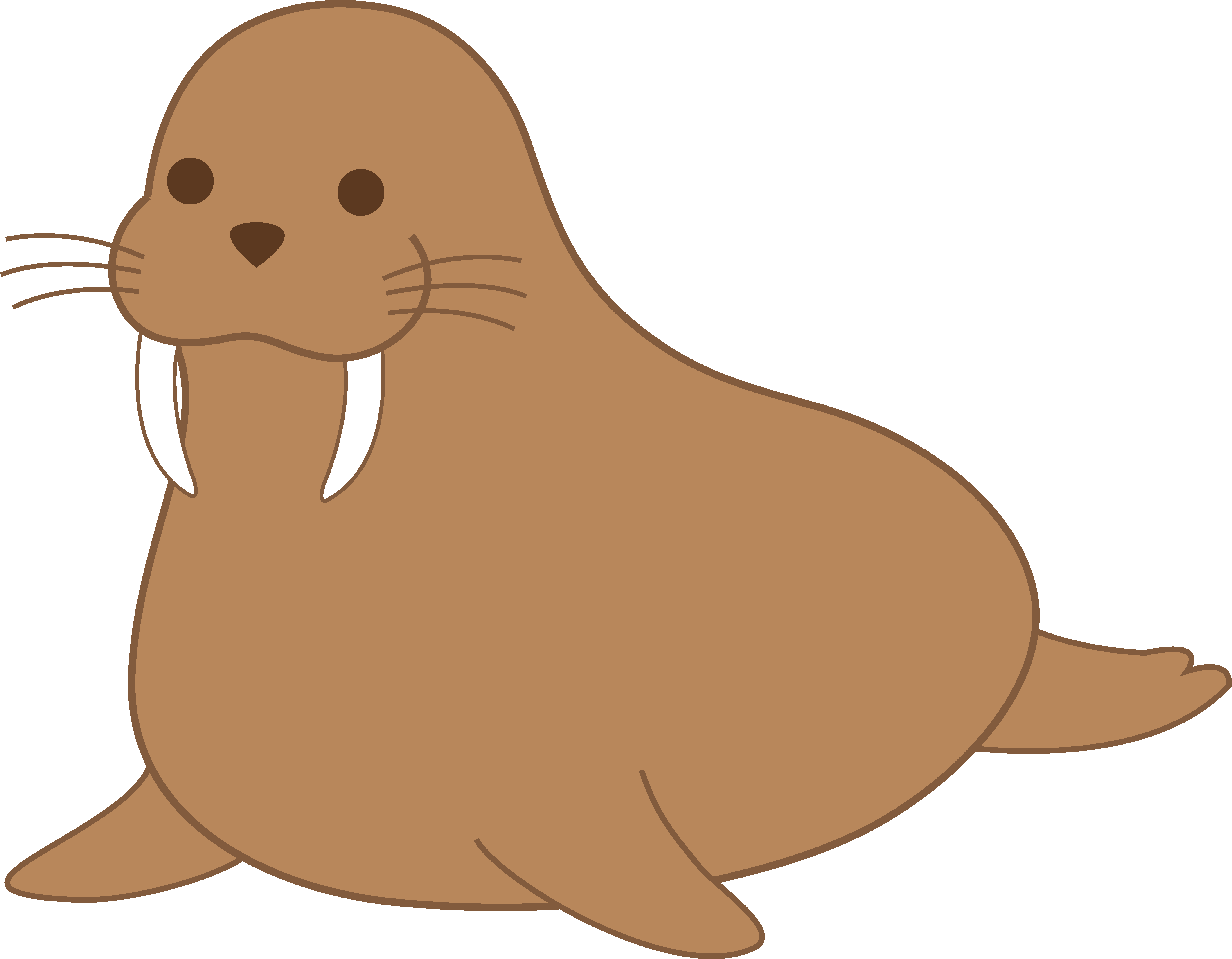 Walrus Png Picture (gray, salmon, white)