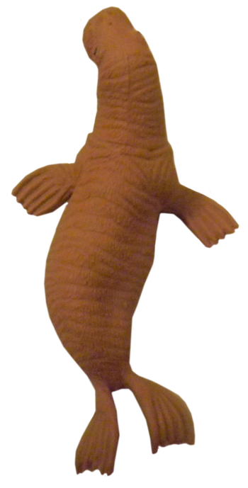 Walrus Png Transparent Picture (olive, black, chocolate)