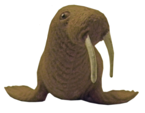 Walrus Png Transparent (olive, black, maroon)