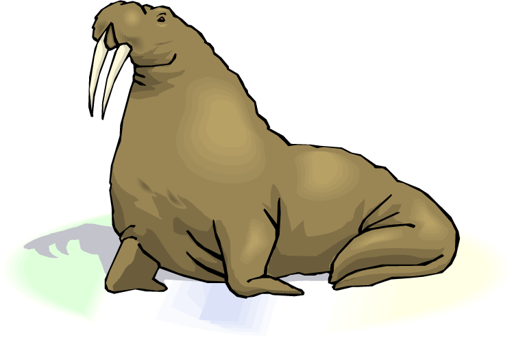 Walrus Transparent Images Png (black, gray, beige, white)