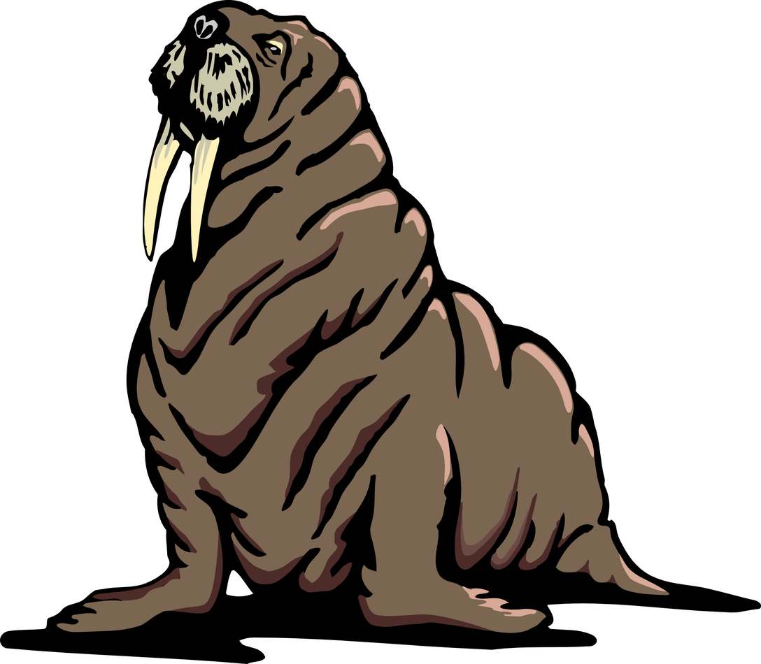 Walrus Transparent Png (black, gray)