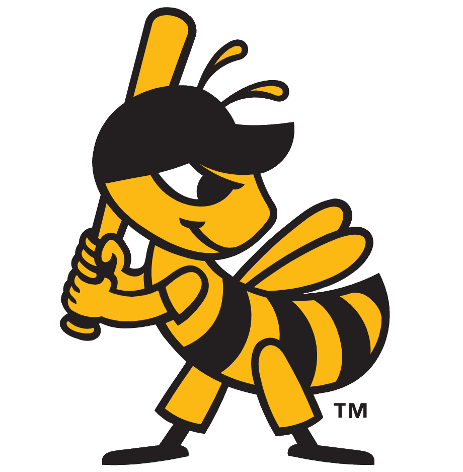 Salt Lake Bees Png Hd (black, gold, orange, white)