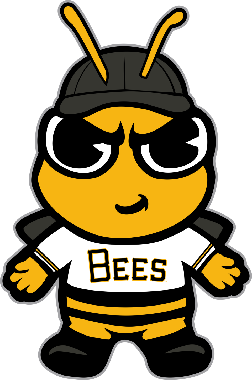 Salt Lake Bees Png (black, orange, white)