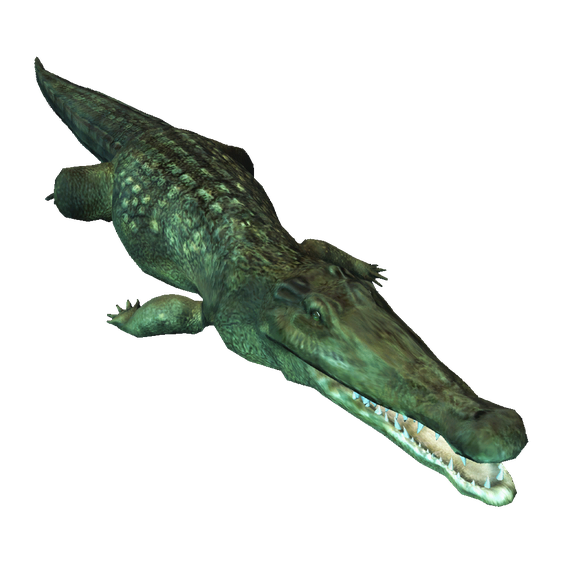 Saltwater Crocodile Png Image (black, green)