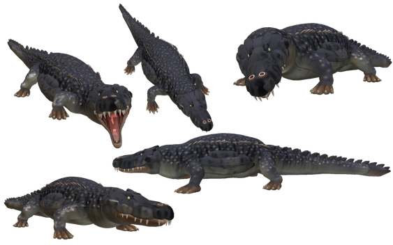 Saltwater Crocodile Png Photo (black, indigo)