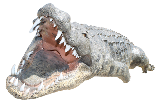 Saltwater Crocodile Png Transparent Image (black, silver)