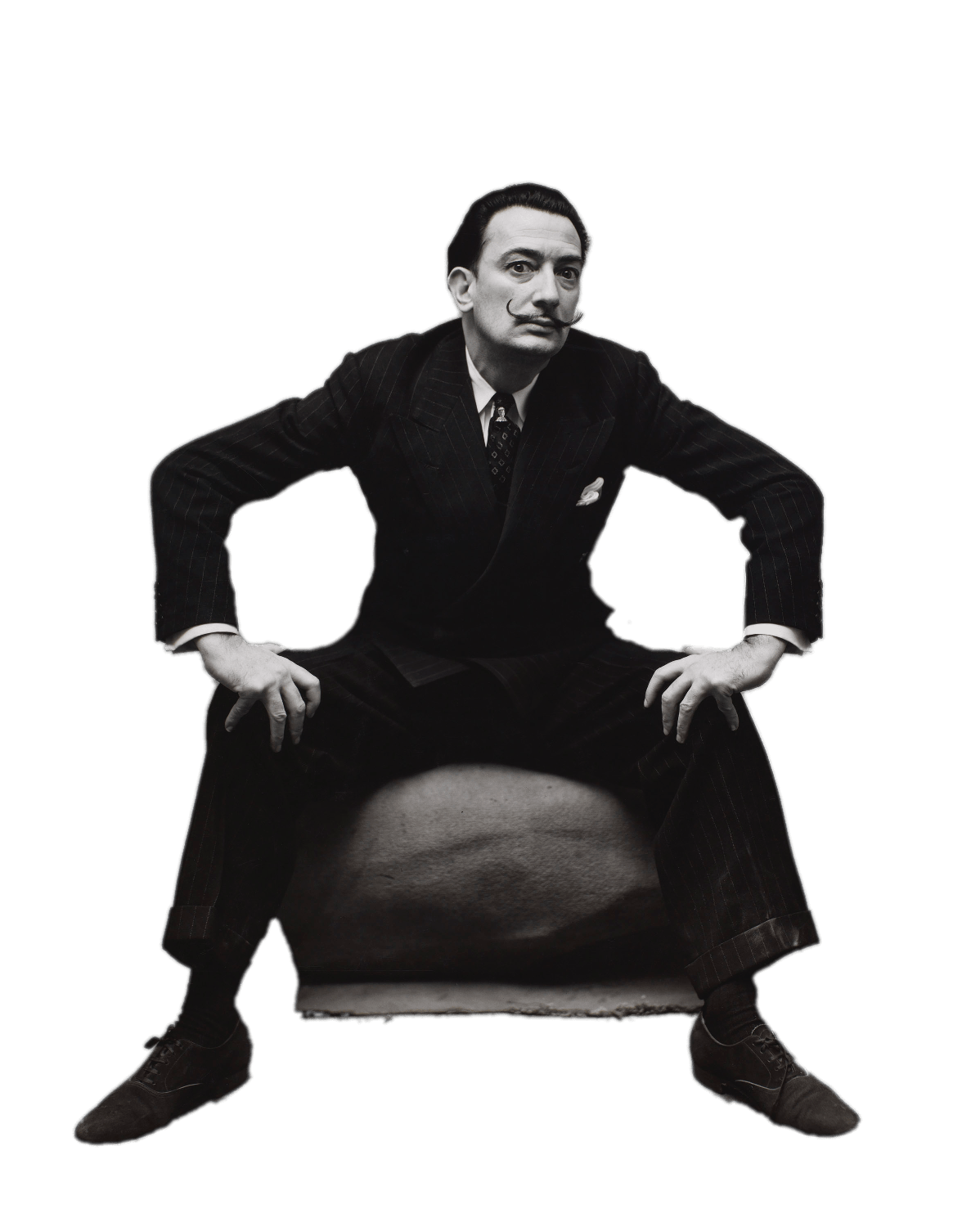 Salvator Dali Png Photos (black, gray)