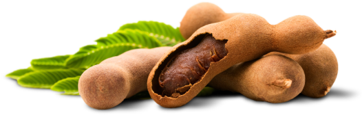 Tamarind Png Isolated Photo (olive, black)