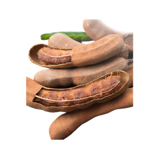 Tamarind Png Isolated Pic (maroon, black, olive, salmon)