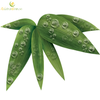 Bamboo Leaf Png Photos (green, black, olive)