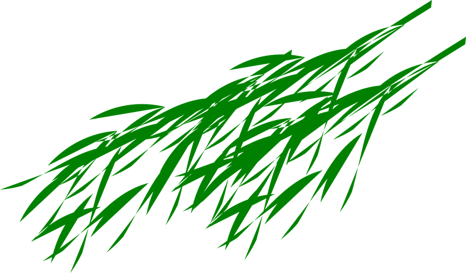 Bamboo Leaf Png Transparent Image (green, black)