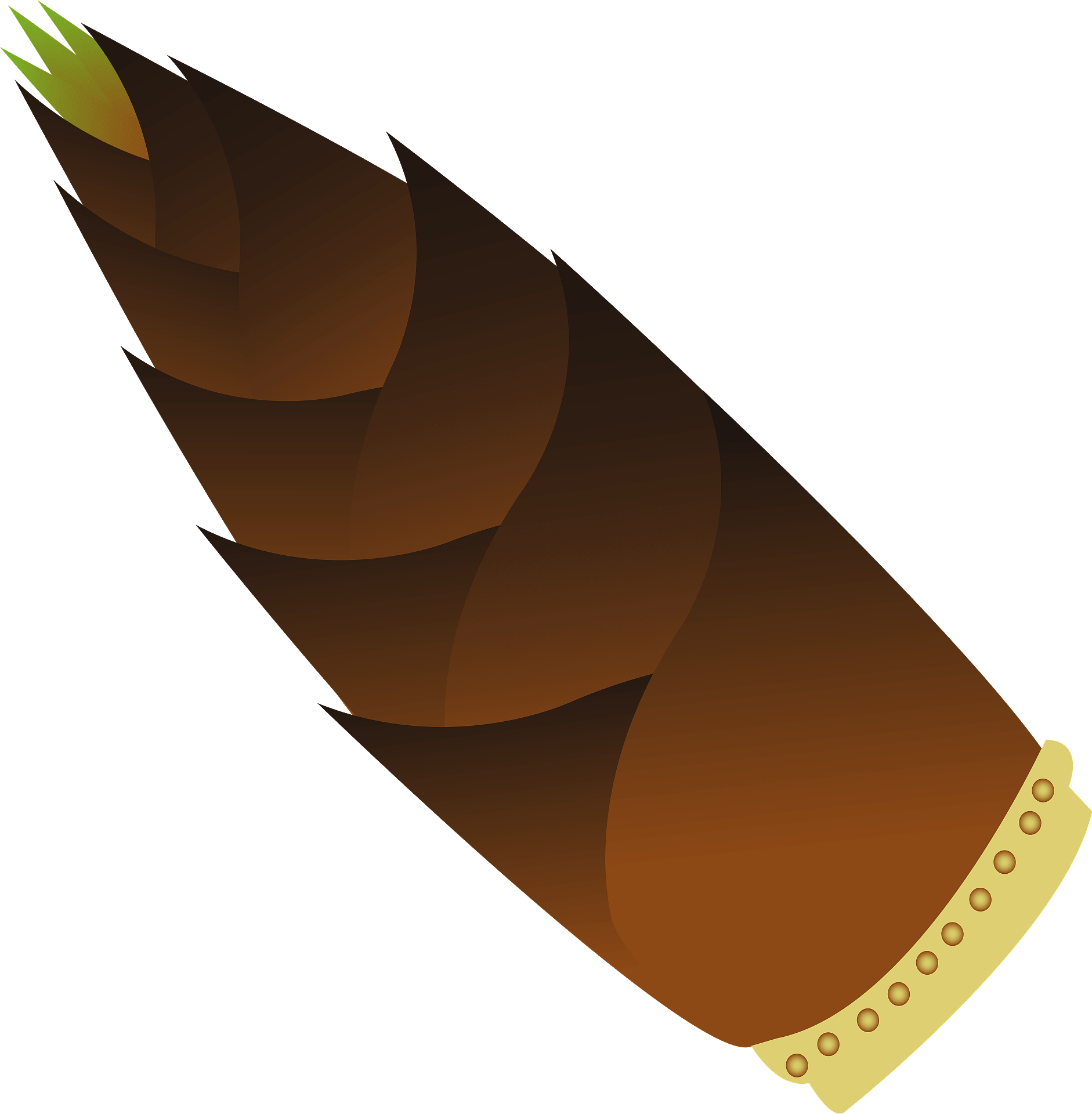 Bamboo Shoot Png File (black, maroon, salmon, gray, olive)