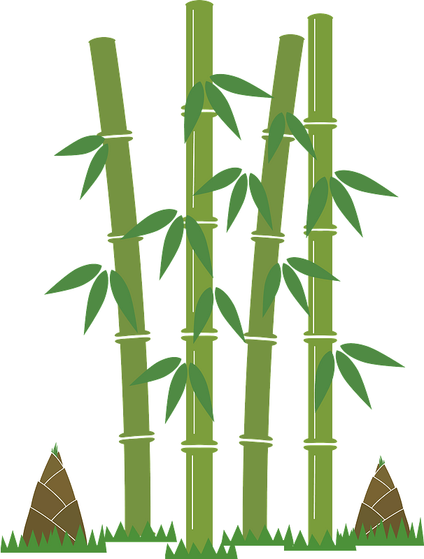 Bamboo Shoot Png Photo (gray)