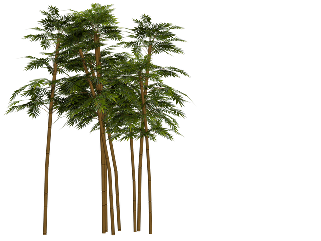 Bamboo Shoot Png Picture (black)