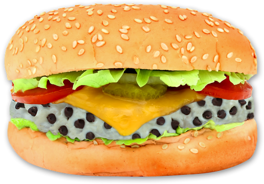 Hamburger Transparent Png (black, salmon)