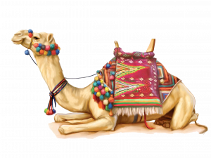 Camel Png 2 300X225 (black, pink)