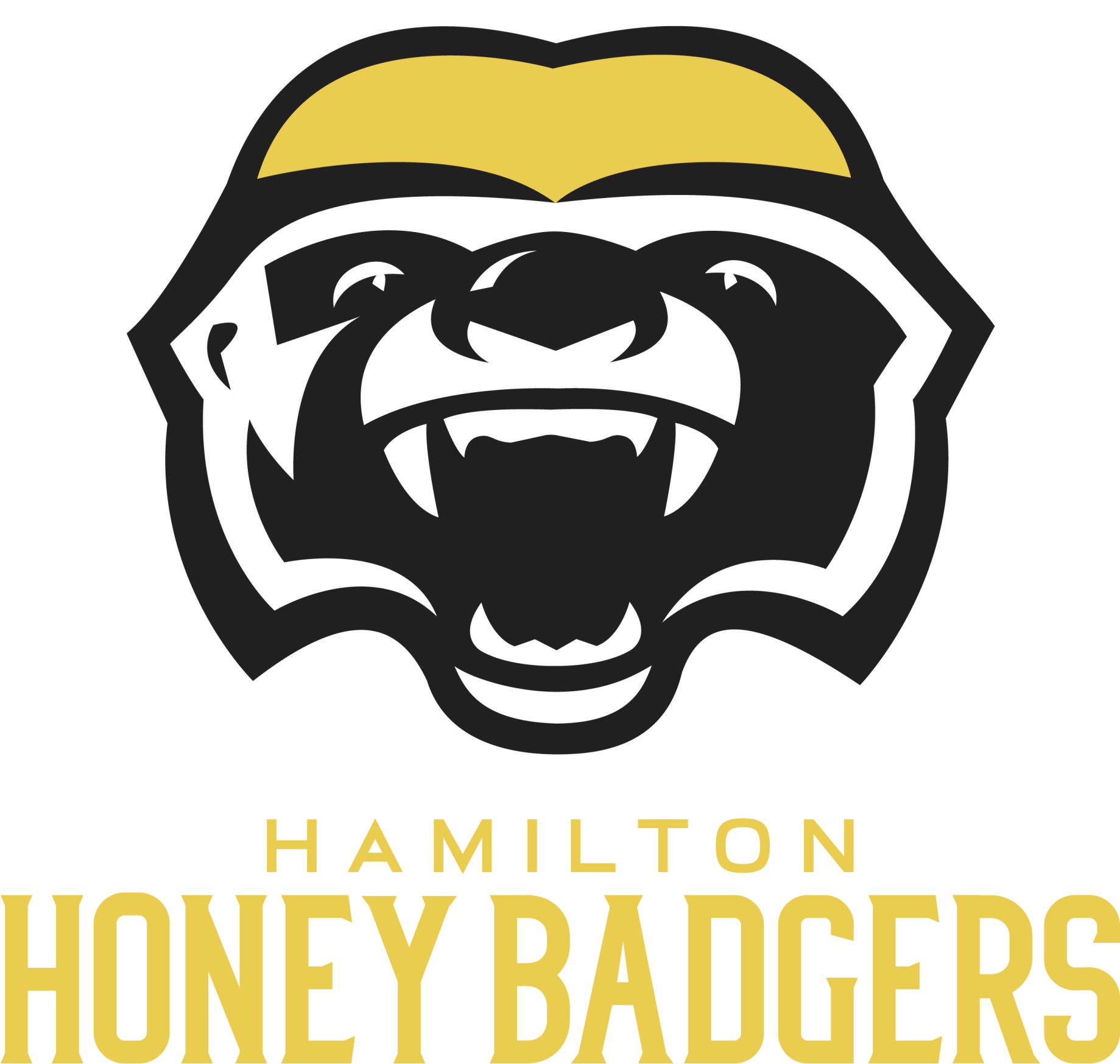 Hamilton Honey Badgers Png Pic (black, gold, white)