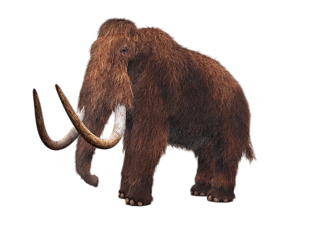 Mammoth Png Clipart (gray, black)