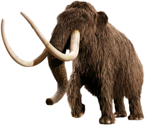 Mammoth Png Isolated Image (black)